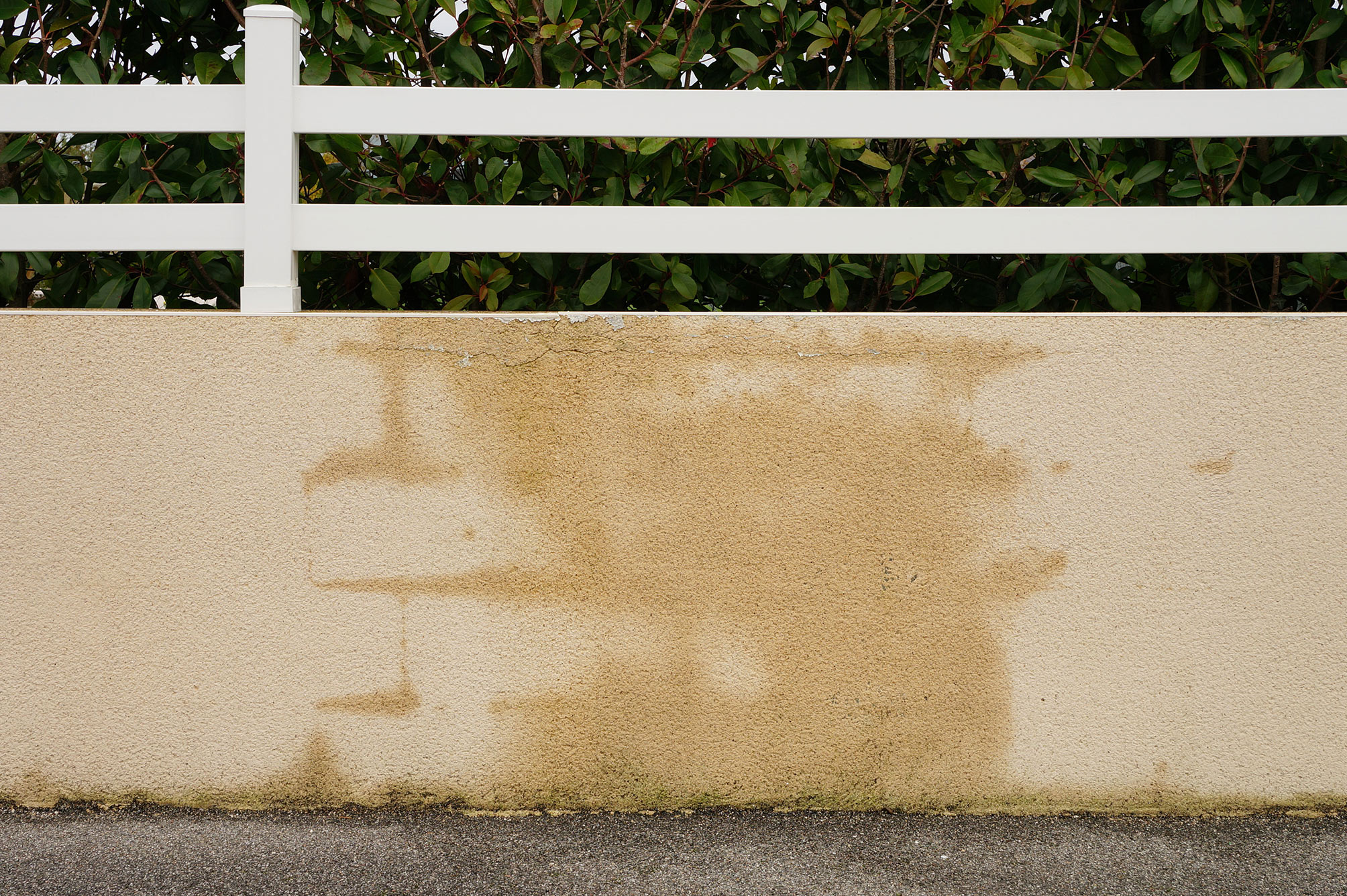 Wasserschaden einer Mauer